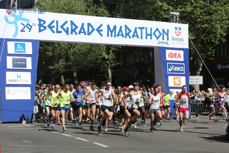 В Белграде стартовал традиционный 29-й Белградский марафон